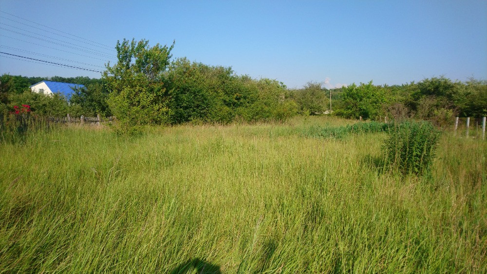 Продаж земельної ділянки СТ Фіаніт, село Фурси. Біла Церква - зображення 2