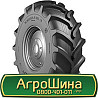18.4 R24 Росава Ф-148 150A6 Сільгосп шина Київ