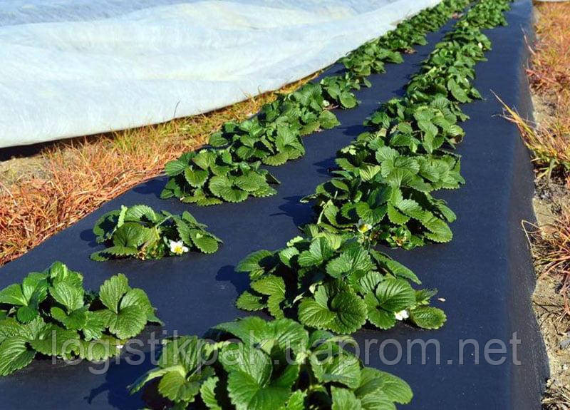 Пленка для мульчирования|30мкм|0.8м*1000м|Черная Харьков - изображение 7
