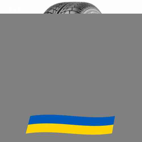 245/45 R18 Nankang Snow Viva SV-1 100V Легкова шина Київ