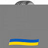 245/45 R18 Nankang Snow Viva SV-1 100V Легкова шина Київ