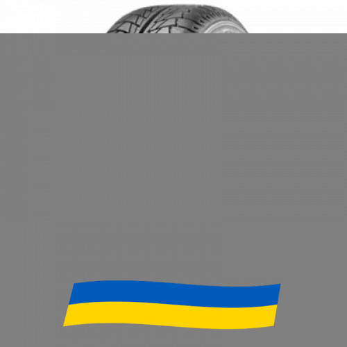 245/45 R18 Nankang Snow Viva SV-1 100V Легкова шина Київ - зображення 1