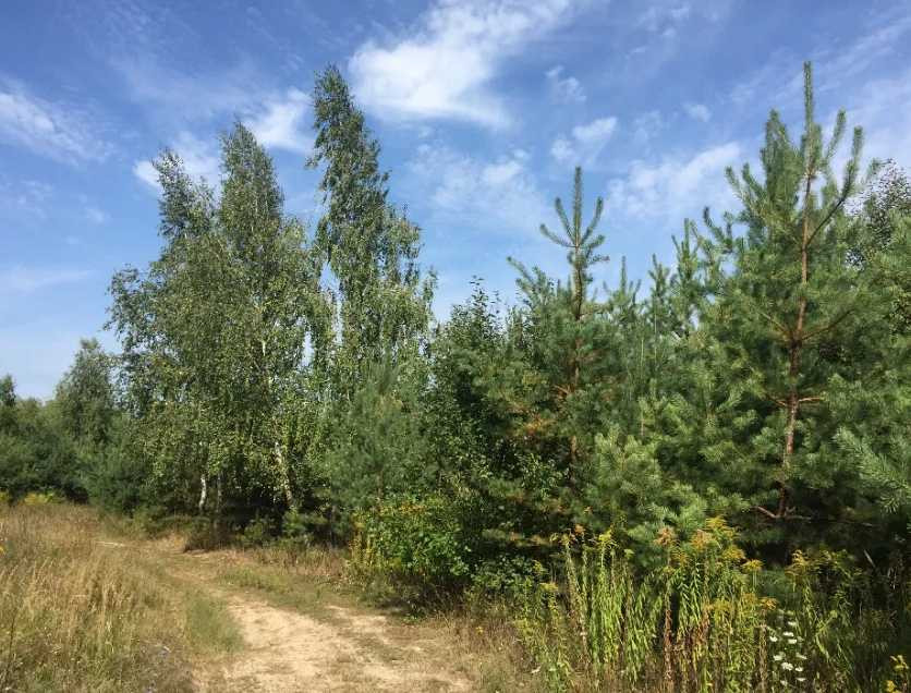 продажа участок под жилую застройку Киево-Святошинский, Вита-Почтовая, 80000 $  - зображення 8