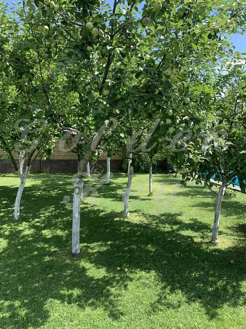 продажа 4-к дом Бориспольский, Гора, 450000 $  - изображение 12