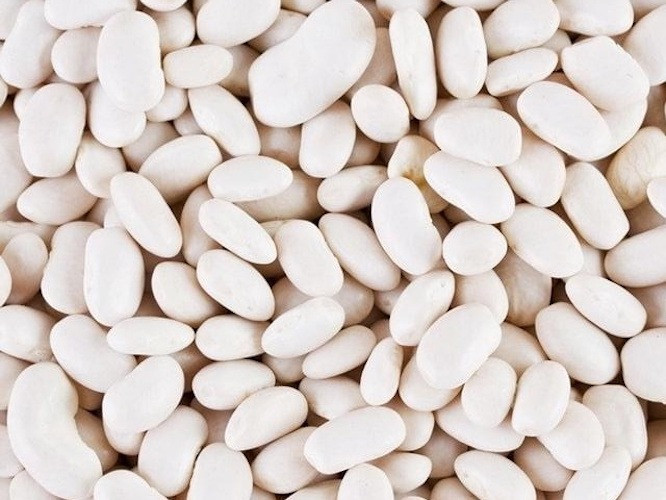 Квасоля в асортименті. Черкассы - изображение 1