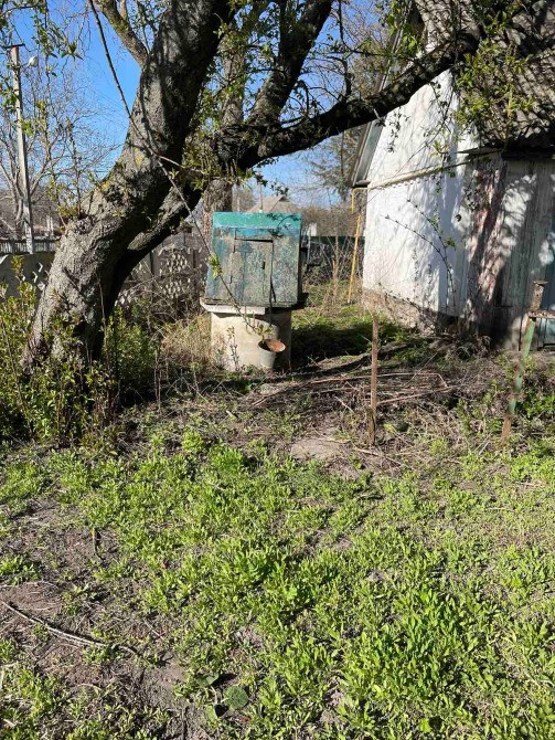 Продаж будинку с. Гостра Могила. Біла Церква - зображення 11