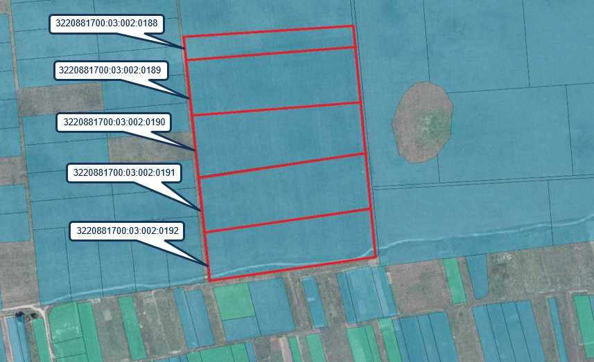 продажа земля сельскохозяйственного назначения Бориспольский, Вороньков, 304000 грн.  - зображення 5