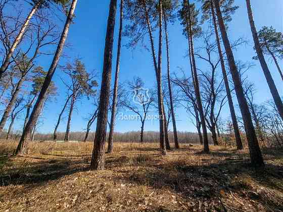 продажа участок под жилую застройку Мироновский, Козин, 1000000 $ 