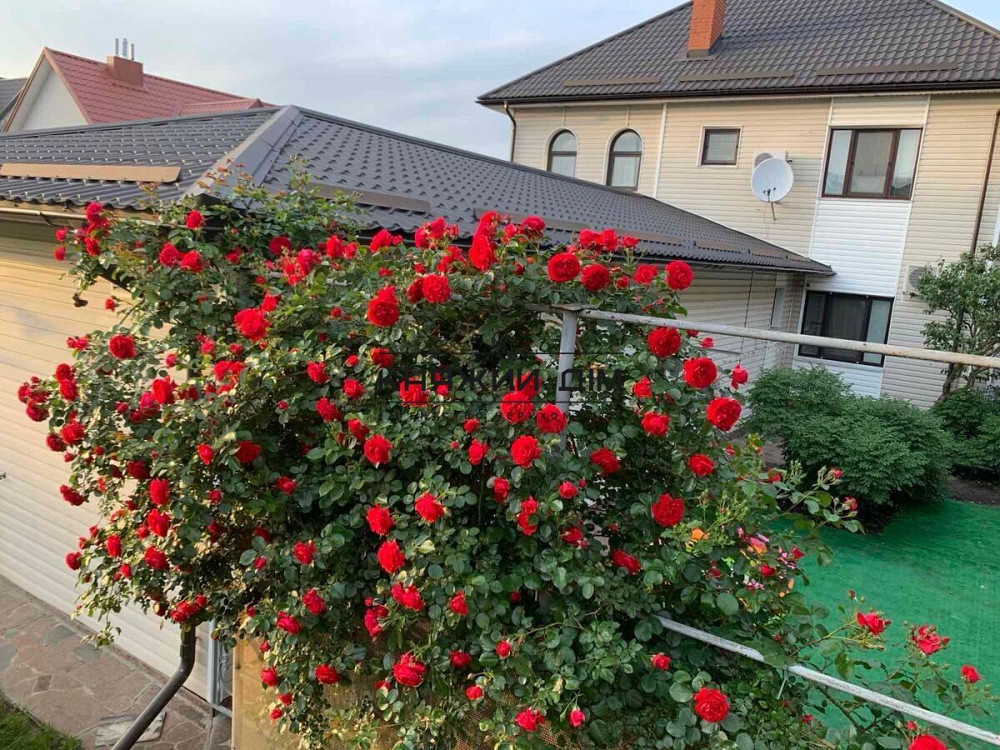 Продаж 2-поверхового будинку в с.Чайка. Безготівковий ТАК!  № 2211780 Київ - зображення 3