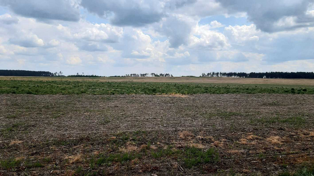 продажа земля сельскохозяйственного назначения Бориспольский, Головуров, 223570 грн.  - изображение 3