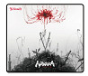 Игровая поверхность для мыши и клавиатуры Bloody BP-45(Naraka) 45х40 см Киев