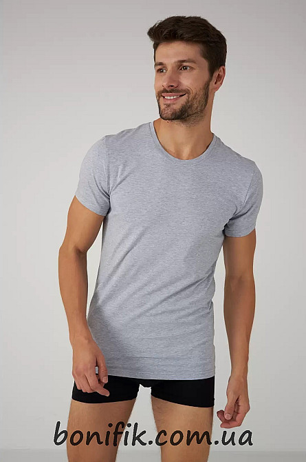 Мужская серая спортивная футболка "Basic" (арт. MBSK 500/01/06) Кривой Рог - изображение 1