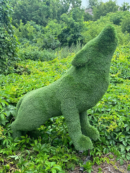 Воющий волк, топиарная фигура на заказ из искусственного газона Киев - изображение 4