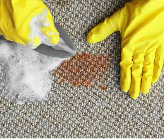 Виїзна хімчистка мʼяких меблів Луцьк Луцк