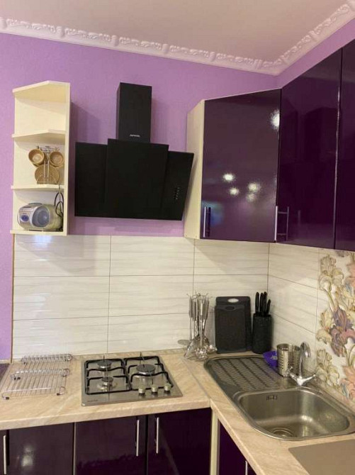 посуточная аренда 8-к дом Киев, Деснянский, 10000 грн./сутки Киев - изображение 9