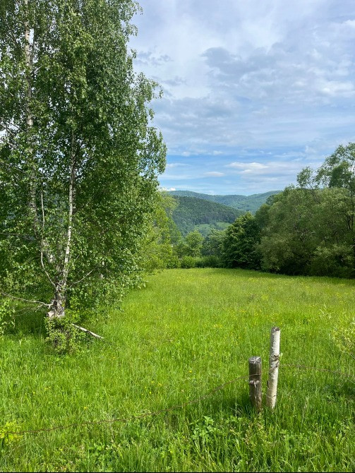 Земельна ділянка 0.18 га в Яремче Яремче - изображение 6