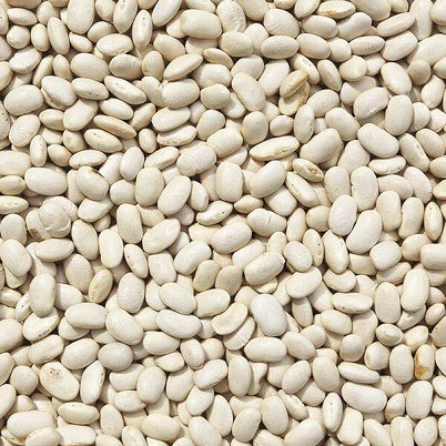 Постійно закуповуємо квасолю Кропивницкий - изображение 1