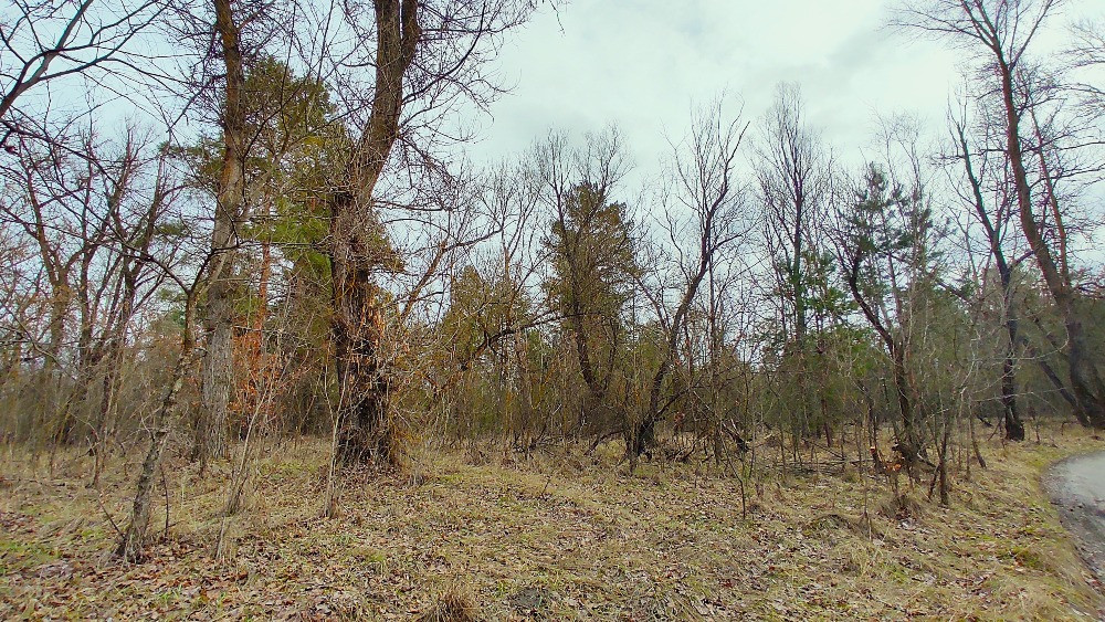 Продаж ексклюзивної ділянки в с. Хотянівка біля річки Десна Вышгород - изображение 5