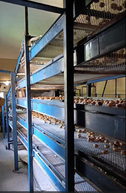 долгосрочная аренда производственные помещения Ставищенский, Ставище, 80000 грн./мес.  - зображення 3