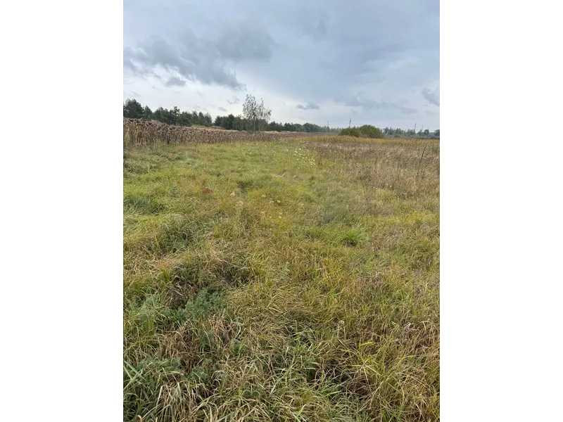 продажа земля сельскохозяйственного назначения Вышгородский, Литвиновка, 341828 грн.  - изображение 5