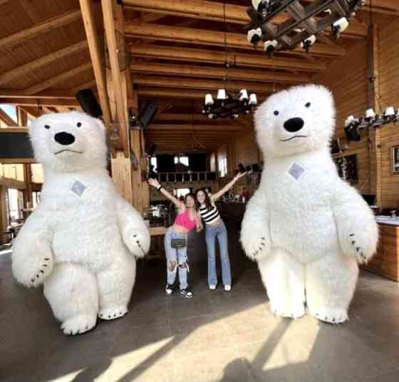 Білий ведмідь Біла Церква аніматор Фастів,Сквира,Тараща,Обухів,Жашків,Умань замовлення на свято. Біла Церква