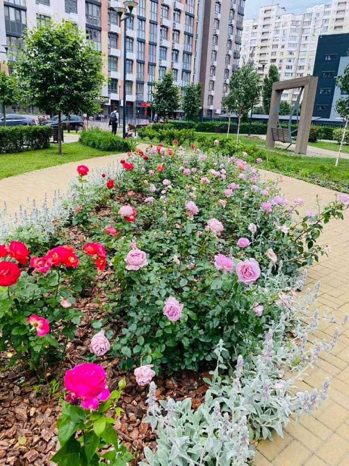 продажа 3-к квартира Киев, Подольский, 130000 $ Київ - зображення 12