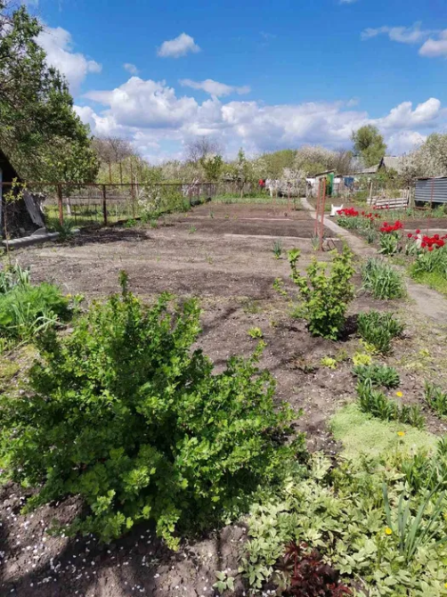 Продаж будинку Арнаутово Кропивницький - зображення 3