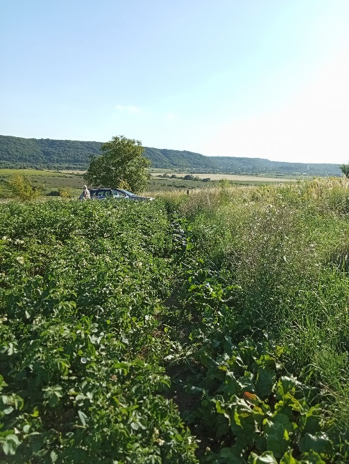 с. Гряда продаж земельної ділянки під забудову Львів - зображення 7