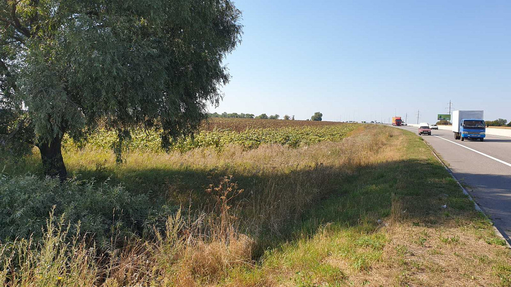 продажа земля коммерческого назначения Васильковский, Великая Солтановка, 23692000 грн.  - зображення 4