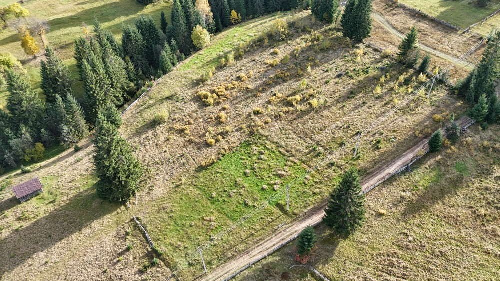 Земельна ділянка в Яблуниці 0.25 га Яремче - зображення 3