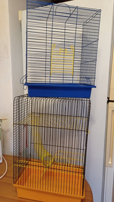 Клетка для хомяка+домик+колесо Київ - зображення 1