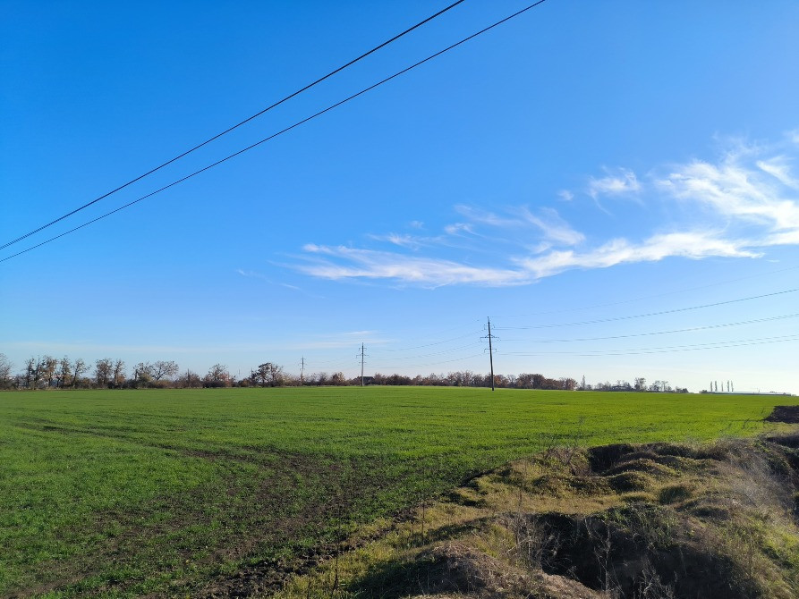 Продам участок 7.27га с фасадом 227м на трассу Одесса-Рени,Измаил - порты на Дунае, 5км от Одессы Одесса - изображение 8