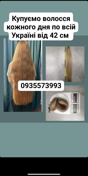 Продать волосы, продати волосся дорого по всій Україні від 42 см -0935573993 Київ - зображення 1