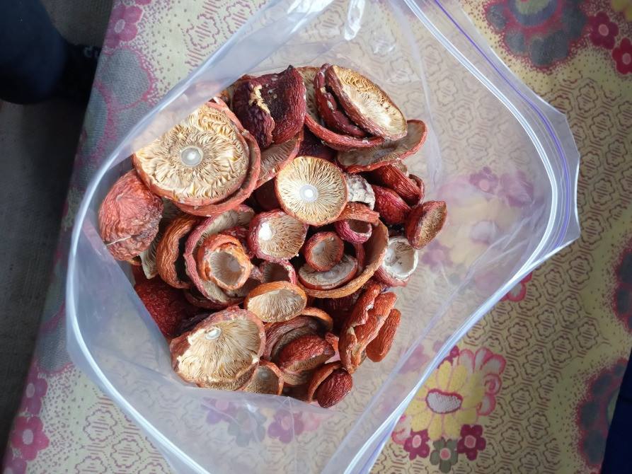 Червоний мухомор 1 сорту, закриті шляпки Овруч - изображение 1