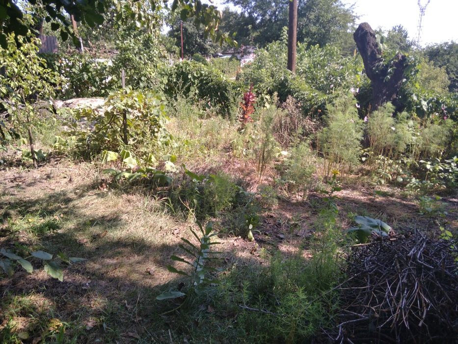 Продам. Дачу 20 м.кв. 6,7 сот. Шевченка. вул. Кадрова 2-Д. ДО "Самара" Днепр - изображение 10