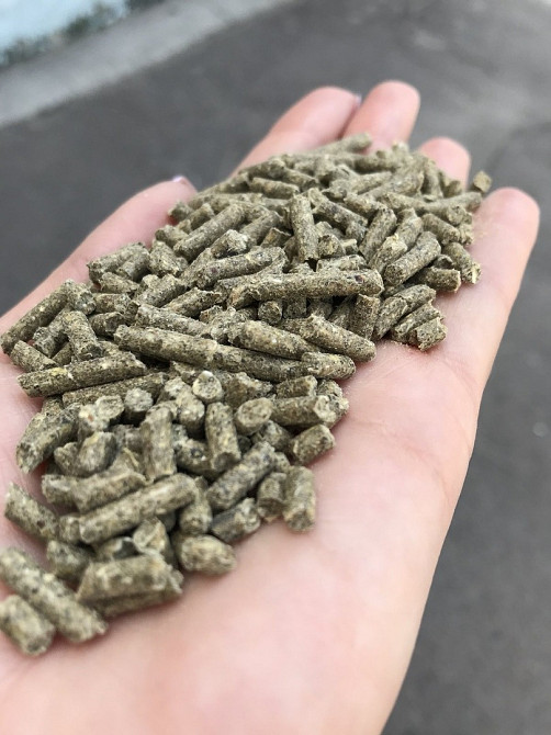 Комбикорм для кролей с травяной мукой Дніпро - зображення 1