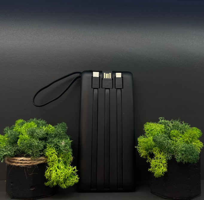 Powerbank Veger C10 10000 mAh | Швидка зарядка | Компактний Чернівці - зображення 6