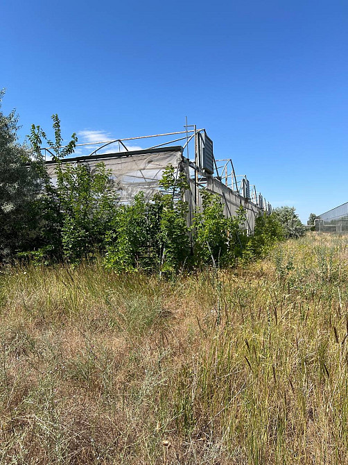 Готовий тепличний бізнес Київський район Одеса! Інвестиційний обєкт в Україні Одесса - изображение 7