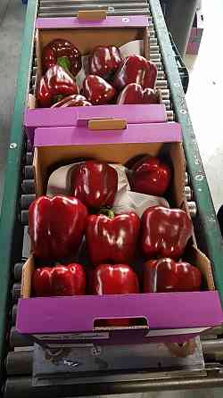 Продаем перенц Київ