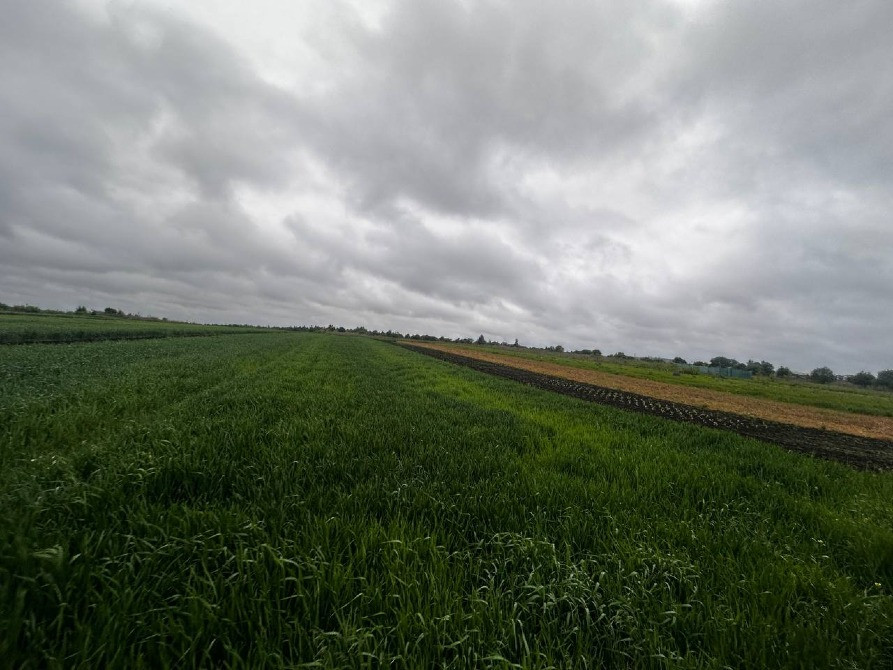 Продаж земельної ділянки Зубра осг 20соток Львів - зображення 12