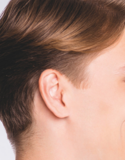 Триммер универсальный ZELMER ZNT0300 7 Вт серебристый Київ - зображення 5