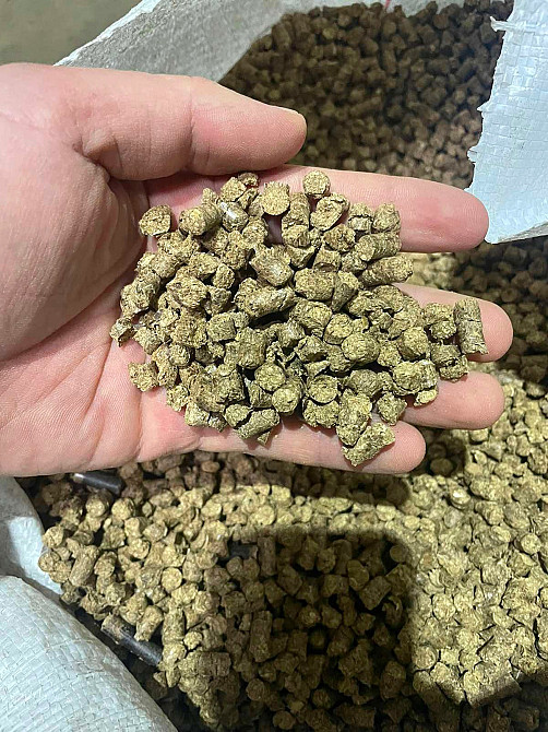 Продам паливні деревинно-тирсові дубові гранули (пелети) . Розмір 6 мм. Олександрія - зображення 1