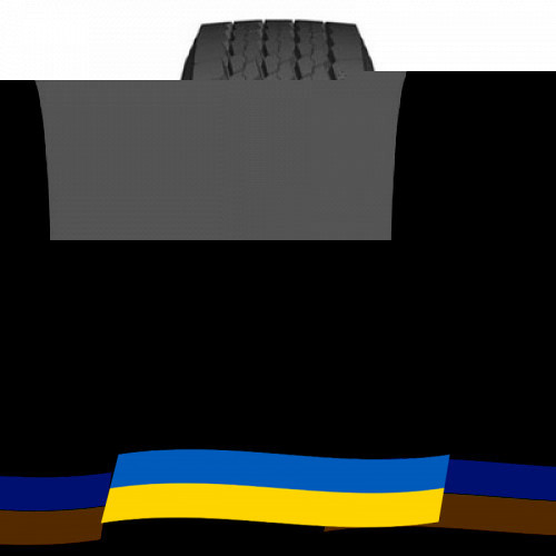 385/65 R22.5 Deestone SW415 160/158L Причіпна шина Київ - зображення 2