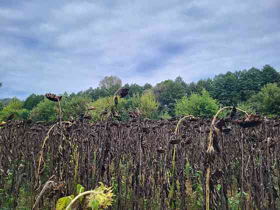 продажа земля сельскохозяйственного назначения Бориспольский, Головуров, 69036 грн. 