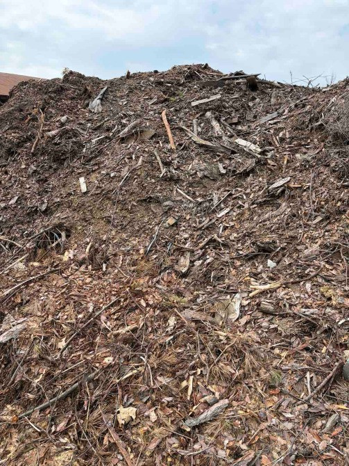 Соснова кора та тирса для лохини Васильків - зображення 1