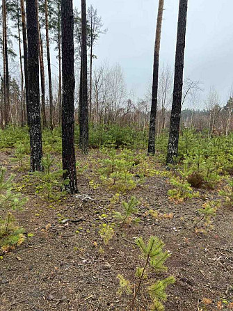 продажа участок под жилую застройку Бородянский, Клавдиево-Тарасово, 15750 $  - зображення 4