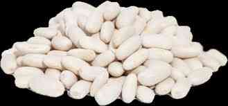 Купуємо квасолю у фермерів та с.г підприємств Хмельницкий