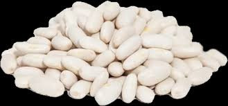 Купуємо квасолю у фермерів та с.г підприємств Хмельницький - зображення 1