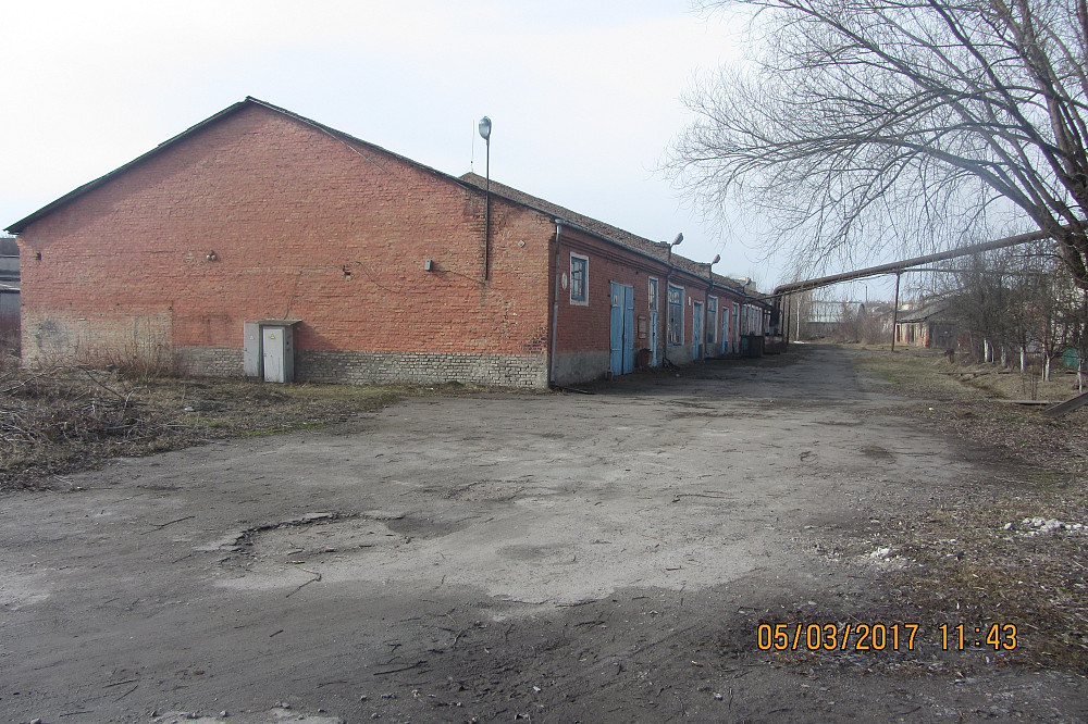 Здамо в оренду столярний цех з обладнанням Ровно - изображение 1