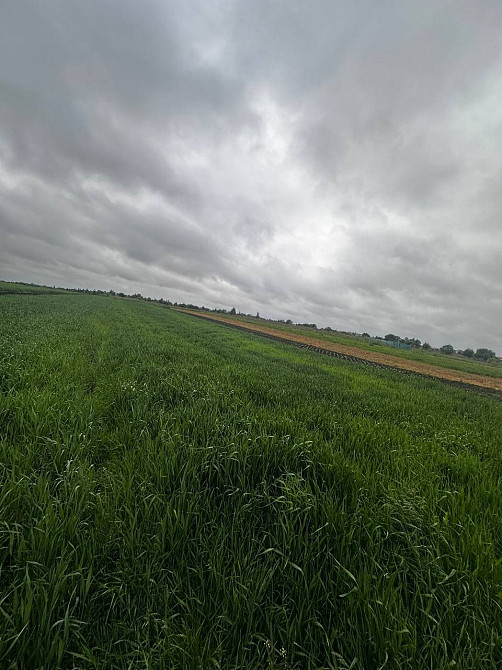 Продаж земельної ділянки Зубра осг 20соток Львів - зображення 5